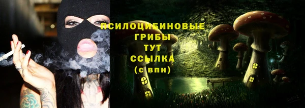 ECSTASY Аркадак