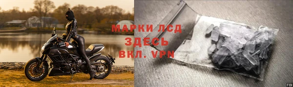молекула духа Арсеньев