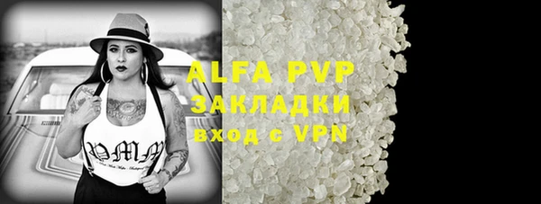 молекула духа Арсеньев