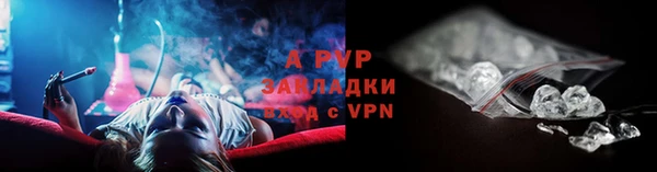 молекула духа Арсеньев