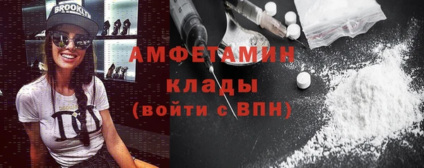 молекула духа Арсеньев