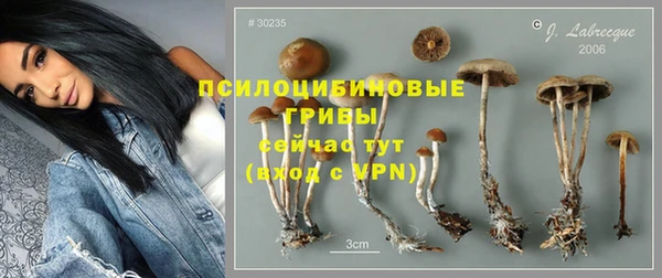 молекула духа Арсеньев