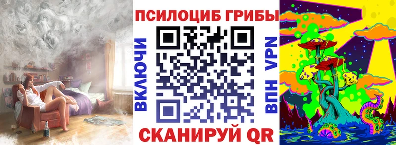 Галлюциногенные грибы Psilocybine cubensis  Купить где  Новая Ляля 